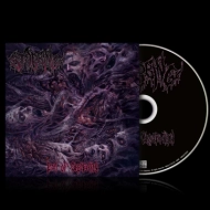 STABBING Eon of Obscenity (Standard CD Jewelcase) [CD]